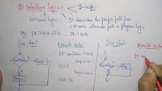 2 Pseudo Code -