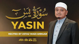 Download Surah Yasin سُورَةُ يس (Recited by Ustaz Wadi Annuar) MP3