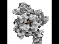Download Lagu Proteins are highly  dynamic molecules