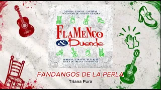 Flamenco & Duende (Audio Álbum Oficial)