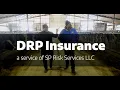 Elite Dairy Revenue Protection Insurance Solutions from SP Risk Services