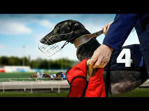 UK Digital Trailer