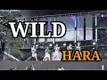 Download Lagu ★New Song★HARA (KARA) - WILD