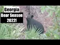 Georgia BEAR Hunting - Opening Day Trigger Discipline