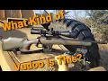 Vudoo V22 Overview and First Shots