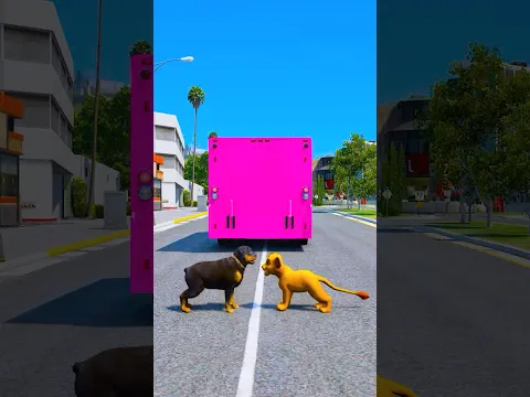 GTA V DOGS TEACT US LOVE IN ITS PUREST FROM PART- 88 #shorts | GERINGG