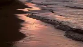 2 كتاب و موسيقى أجمل وأمتع موسيقى هادئة أثناء القراءة والاسترخاء 