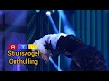 Download Lagu struisvogel  // onthulling  // the masked singer  nederland seizoen 6