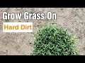 Will Grass Grow On Hard Packed Dirt