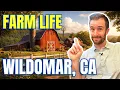Living in The Farm Wildomar CA - Affordable Temecula Valley Homes
