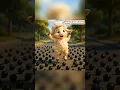 Download Lagu eek kambing🤢🐑 #cat #cats #kambing #shorts #fyp #comedy #lucu #animasi #funny #video