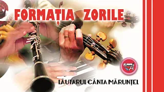 Download MUZICA DE PETRECERE - ZORILE - LAUTARUL CANTA MARUNTEL MP3