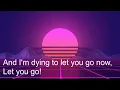 Blessthefall-Wishful Sinking (lyric Video)