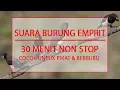 Lagu MASTER SUARA BURUNG EMPRIT - COCOK UNTUK PIKAT DAN BERBURU - DURASI 30 MENIT