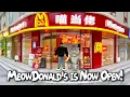 Download Lagu MeowDonald's is Now Open in Cat Town!