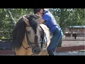Download Lagu Ирина Ларионова, конный клуб Лаир: о вятках. И не только. Часть5