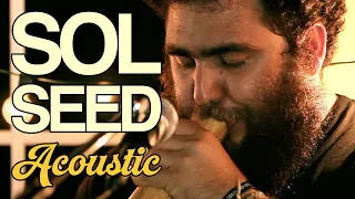 Sol Seed Family Tree Intimate Live Acoustic Performance
