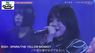 BISH SPARK THE YELLOW MONKEY 