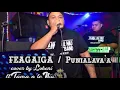 Download Lagu Feagaiga cover by Lokeni and Tama o le Niu Band.
