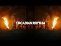 Download Lagu Drake - Circadian Rhythm (Tasty Or Not Afro House Remix)