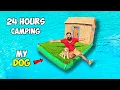 Download Lagu Camping On Water With My Dog | ഞാനും ജൂലിയും വെള്ളത്തിന്റെ നടുക്ക് താമസിച്ചപ്പോൾ | M4 Tech |