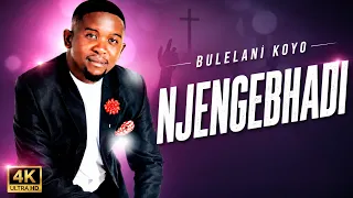 bulelani koyo njengebhadi visualizer 