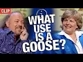 Download Lagu QI | What Use Is A Goose?