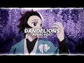 Download Lagu Dandelions - Ruth B. [ Audio Edit ] | 2022 HD