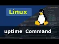 Linux Command - uptime