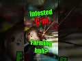How to farm for Mutagen Sample