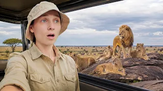LA REALIDAD DE UN SAFARI EN ÁFRICA NO ES COMO IMAGINAS