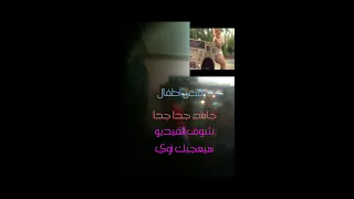 كليب يابنات حلوين طعمين دندنها