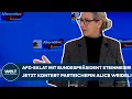 Download Lagu DEUTSCHLAND: AfD-Eklat mit Bundespräsident Steinmeier! Jetzt kontert Parteichefin Alice Weidel!