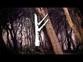 FEHU Subliminal for WEALTH ABUNDANCE Norse Energy Healing 396hz Root Chakra Balancing