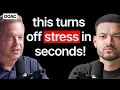 Lagu Secret To Living Without Fear \u0026 Anxiety Forever! Your Mind Can Heal Itself! - Dr. Joe Dispenza