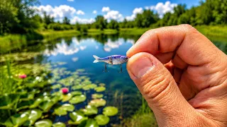 i fished with this micro glide bait insane results 