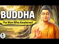 Buddha Documentary to Fall Asleep To
