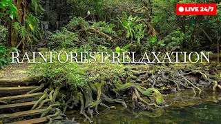 🔴 24/7 Tropical Aviary & Bird Sounds - Deep Relaxation | 4K ASMR Nature