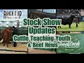Stock Show Updates Cattle Teaching Kids Ranch Jobs Beef News