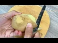 Few People Know This Potato Peel Trick for Growing Roses from Cuttings! 🌹