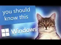 Adorable Tech Cat Explains What The SFC Scan is on Windows