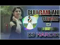 Download Lagu BIJLI RAANI AANI BIJLI RAANI || 1234, TUR TUN ROCKY STAYLE || DJ HARDIK BORCHOD FT DJ Y1 KIRU