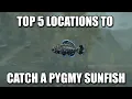 The Top 5 Places To Catch Pygmy Sunfish In Skyrim