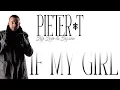 Pieter T - If My Girl (Audio)