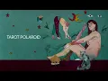 León Larregui - Tarot Polaroid (Lyric Video)