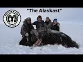 The Alaskast Podcast 3 Filming Draw hunts and Muskox