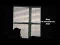 BODY BY JORDAN SUASTE ( COVER )