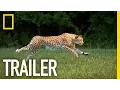 Subscribe to National Geographic on YouTube