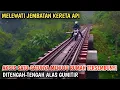 Download Lagu Inilah Kampung Tersembunyi Ditengah Hutan, Nempel Terowongan Kereta Api