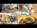 Download Lagu shopping at cheap drugstore, grocery shopping, make ethnic meat sauce for dinner | vlog